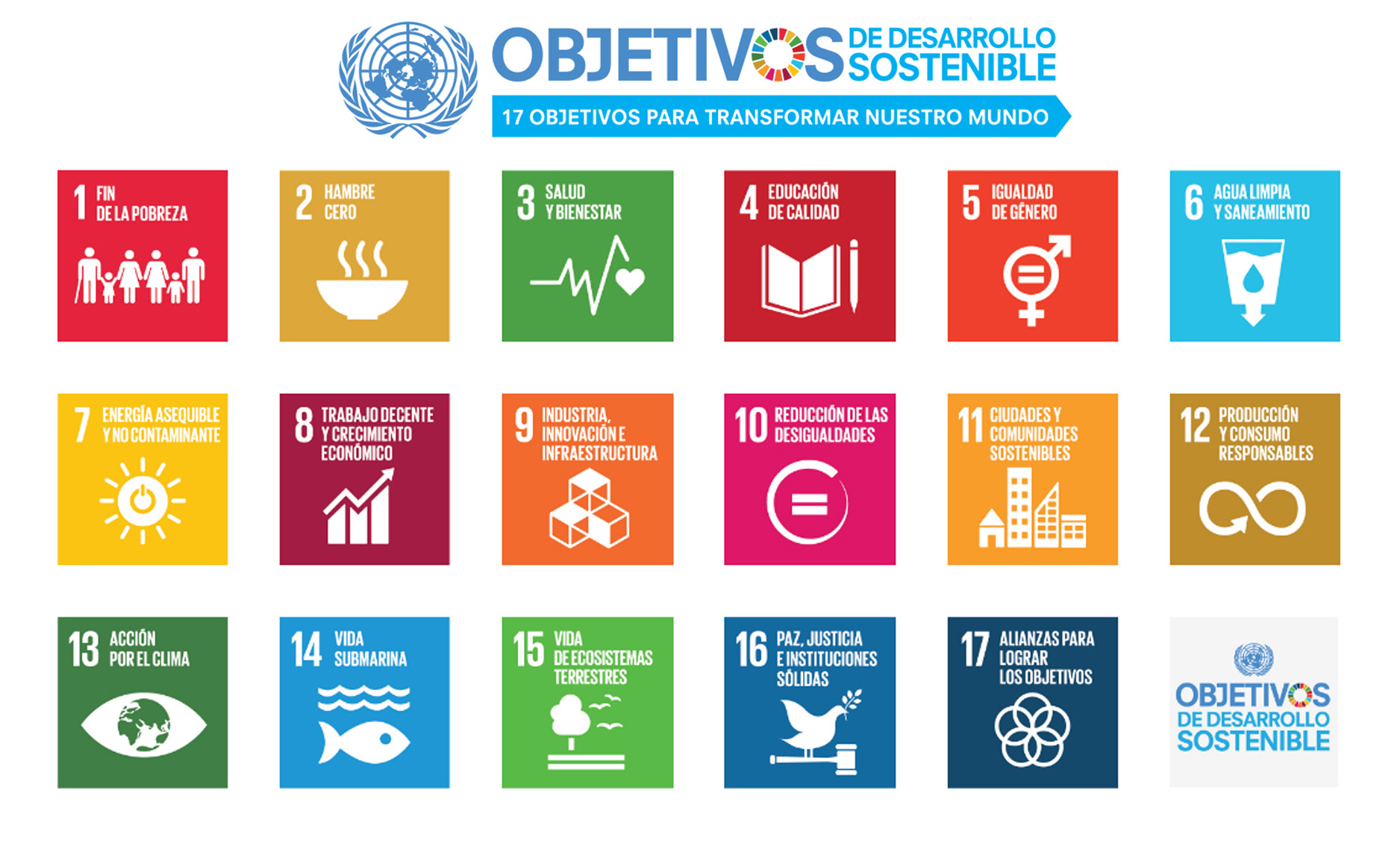 Empresa y Objetivos de Desarrollo Sostenible (ODS)
