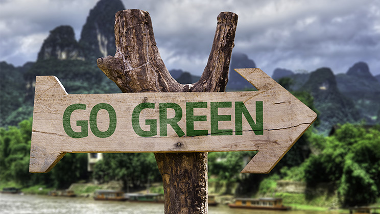 ¿Qué significa eco-friendly, eco-shame o eco-pride?