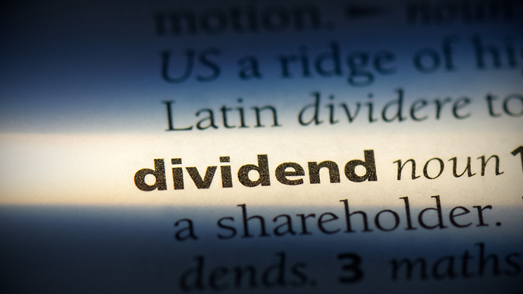 Payout, dividend i altres termes que qualsevol accionista ha de conèixer